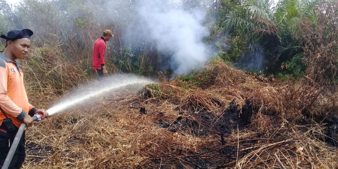 99 Persen Kebakaran Hutan Disebut Karena Ulah Manusia Lontar Id