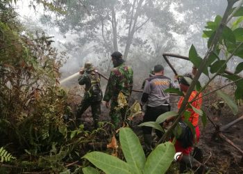843 Hektar Lahan Gambut di Riau Terbakar