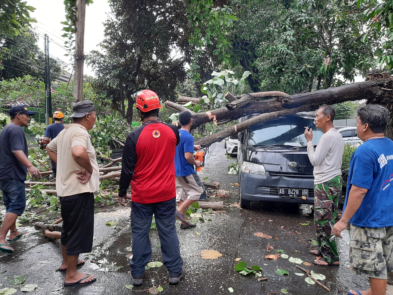 Sedikitnya Pohon Tumbang Akibat Angin Kencang Di Yogyakarta Lontar Id