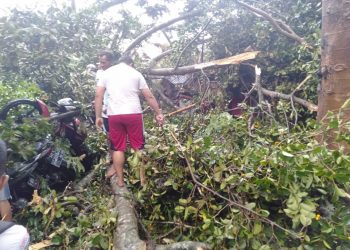 Seorang Mahasiswa IAIN Kediri Meninggal Akibat Puting Beliung