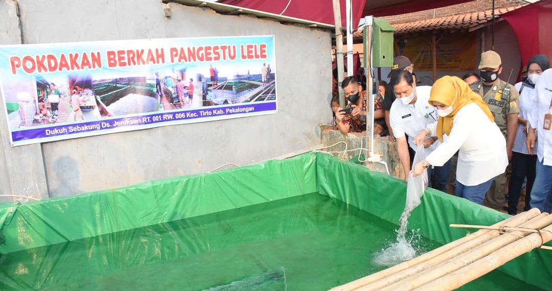 Kilas: Batuan Lele Program Laboratorium Kemiskinan, Polda Kepri Bekuk Pelaku Perdagangan Orang, Dll