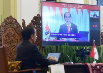 Jokowi Sampaikan Komitmen untuk Majukan Demokrasi dan HAM