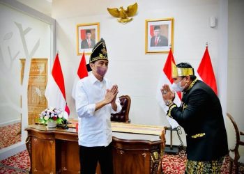 Bertemu Jokowi, Tokoh Kaltim Nyatakan Dukung IKN